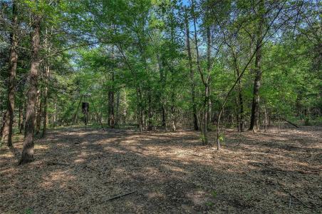 TBD County Road 1451 (3 acres), Quitman, Texas 75783, Estados Unidos