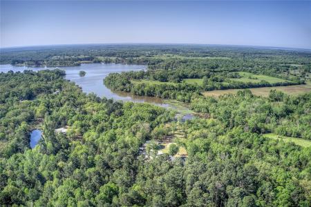 TBD County Road 1451 (3 acres), Quitman, Texas 75783, Estados Unidos