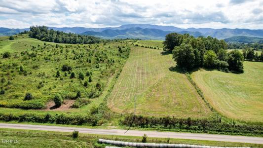 39.26 Ac Pleasant Hill Road, Chuckey, Tennessee 37641, Estados Unidos