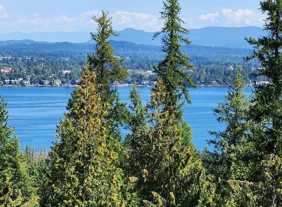 Lot 3 Mountain Ridge Dr, Sagle, Idaho 83860, Estados Unidos