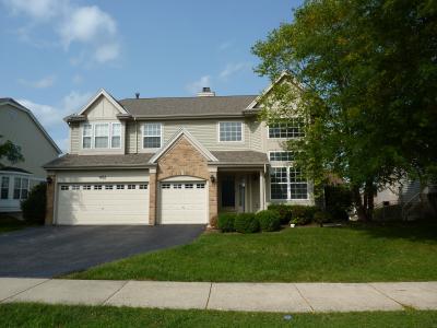 452 E Amherst Street, Palatine, אילינוי 60074, ארצות הברית של אמריקה 