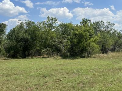 5986 FM 1107 Unit B, Stockdale, Texas 78160, Stati Uniti