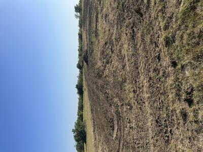 5986 FM 1107 Unit B, Stockdale, Texas 78160, Stati Uniti