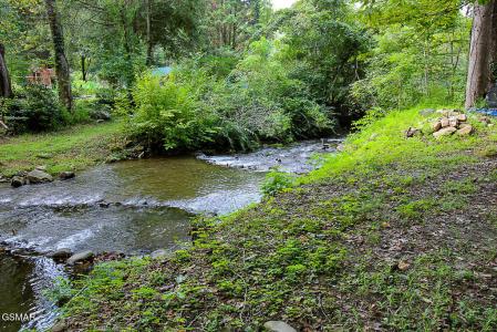 134 Wildwood Way, Gatlinburg, Tennessee 37738, États-Unis