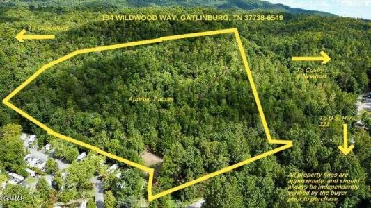 134 Wildwood Way, Gatlinburg, 테네시 37738, 미국