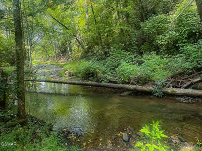 134 Wildwood Way, Gatlinburg, 테네시 37738, 미국