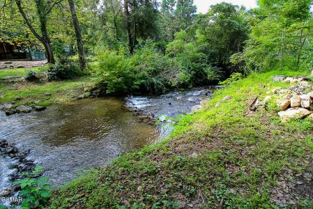 134 Wildwood Way, Gatlinburg, 테네시 37738, 미국