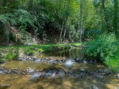 134 Wildwood Way, Gatlinburg, 테네시 37738, 미국