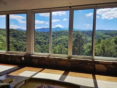 1704 Hidden Hills Rd #504 Road, Gatlinburg, טנסי 37738, ארצות הברית של אמריקה