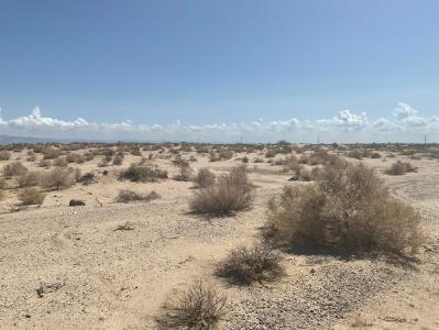 2240 Panorama Avenue, Thermal, Kalifornia 92274, USA