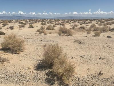 2240 Panorama Avenue, Thermal, Калифорния 92274, Соединенные Штаты