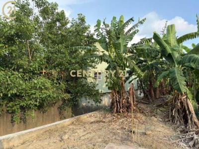 南洲, Shanshang Dist., 台南市 743, 台灣