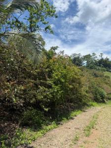 Turrialba Turrialba, 카르타고 30510, 코스타 리카