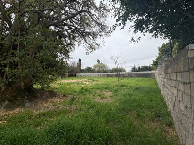 Cape Town, Western Cape, Afrique Du Sud