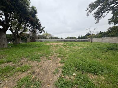 Cape Town, Western Cape, Afrique Du Sud