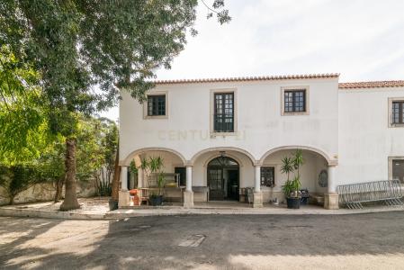 Almada, Setubal 2825-069, Portugal