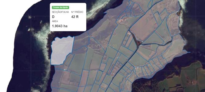 Ribeira Grande, São Miguel 9625-000, Portugal