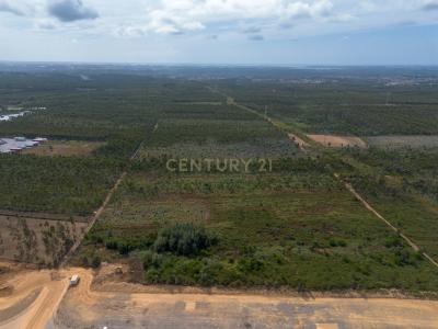 Albergaria A Velha, アヴェイロ 3850-184, ポルトガル