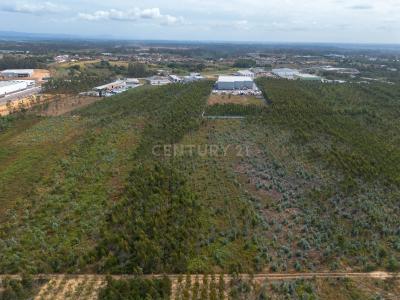 Albergaria A Velha, アヴェイロ 3850-184, ポルトガル