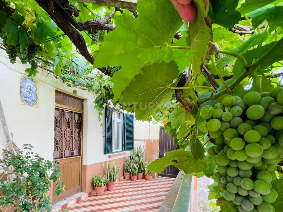 Machico, Madeira 9200, Portugal