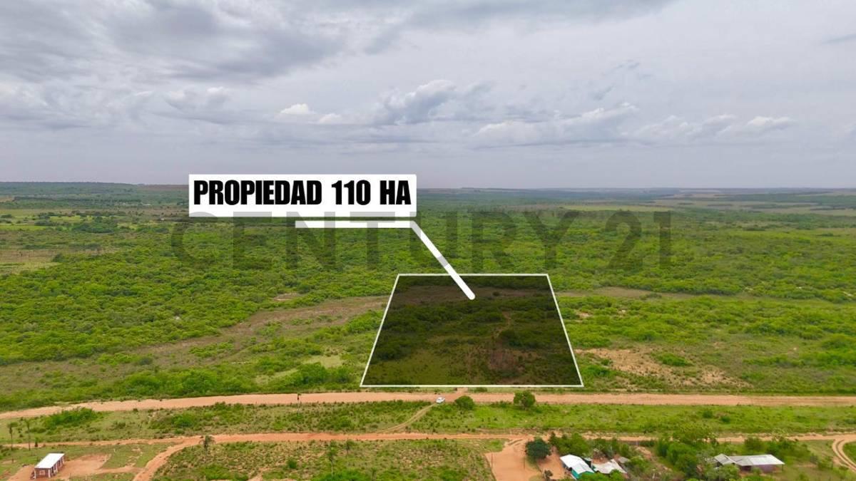 Stud santa rita , Caaguazú, Caaguazú 00001, Paraguay