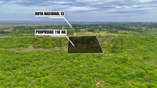 Stud santa rita , Caaguazú, Caaguazú 00001, Paraguay