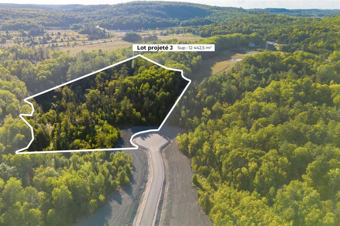 Rue Milton, Chelsea, Quebec J9B 2L1, Canadá