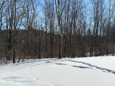 Rue Milton, Chelsea, Quebec J9B 2L1, Canada