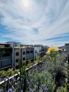 Relampago 15,, San Miguel De Allende, Guanajuato 37765, Mexique