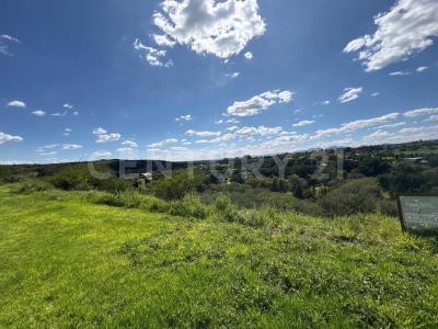 Alamos Lote 4, Campestre San Joaquín,, Aguascalientes, Aguascalientes 20341, Mexico