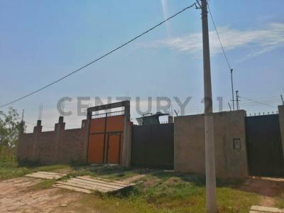 Nueva Trinidad II , Calle AV/IV , Cercado, Beni 00001, Bolivia