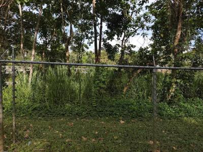 LA LAGUNITA TERRENO LA LAGUNITA, Caracas, Miranda 00001, ונצואלה