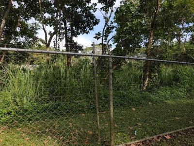 LA LAGUNITA TERRENO LA LAGUNITA, Caracas, Miranda 00001, ונצואלה