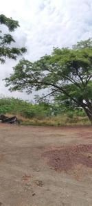 Guatire, Miranda 00001, Venezuela