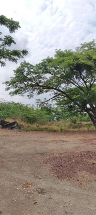 Guatire, Miranda 00001, Venezuela