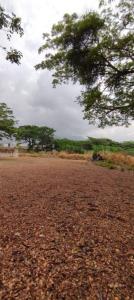 Guatire, Miranda 00001, Venezuela