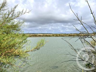 Le Fenouiller, Pays De La Loire 85800, Frankreich