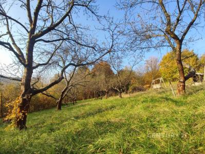Lázky, Vsetín, Vsetín 75501, Czech Republic