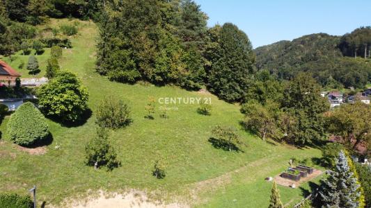 Laško, Laško, Savinjska 3270, Slovenia