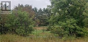 0 ALBERT STREET SOUTH, Laurentian Hills, Ontario K0J 1J0, Canada