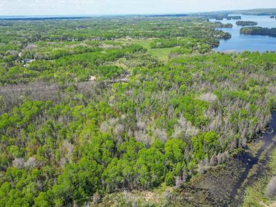 13 ONE MILE ROAD, East Ferris, Ontario P0H 1K0, Canada