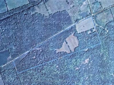 00 MORRISON ROAD, Madoc, Ontario K0K 1Y0, Canadá