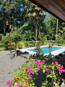 Cahuita Playa Grande Talamanca, Limón 70403, Costa Rica