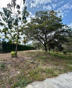 Cabo Velas Santa Cruz, Guanacaste 50308, Kostaryka