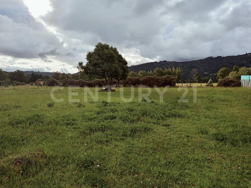 Tenjo, קונדינמרקה 00001, קולומביה 