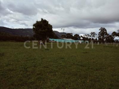 Tenjo, קונדינמרקה 00001, קולומביה 