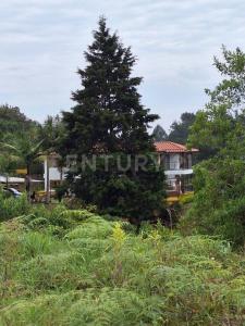 Rionegro, Antioquia 054040, Colombia