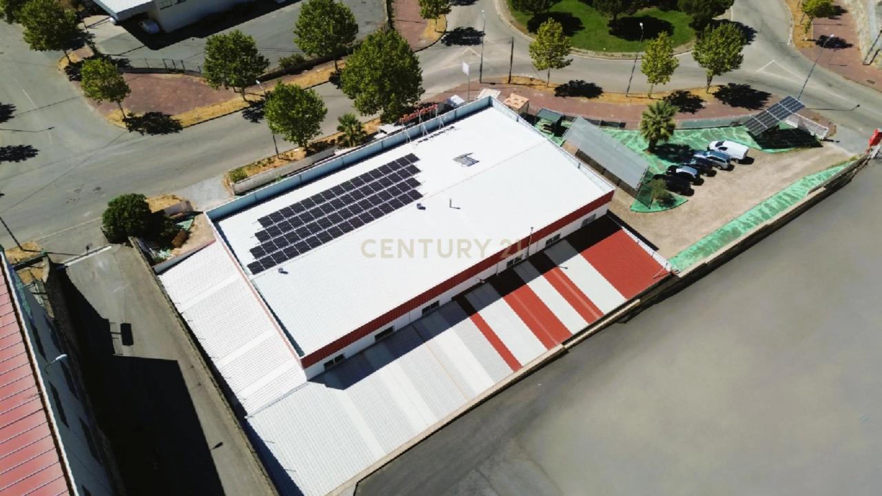 Castelo Branco, Castelo Branco 6000-459, Portogallo