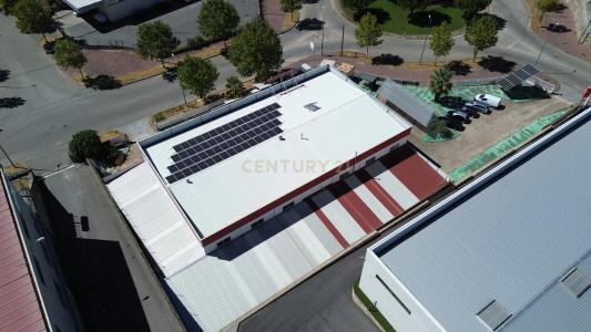 Castelo Branco, Castelo Branco 6000-459, Portogallo