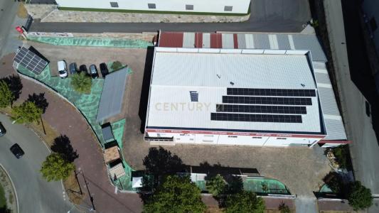 Castelo Branco, Castelo Branco 6000-459, Portogallo